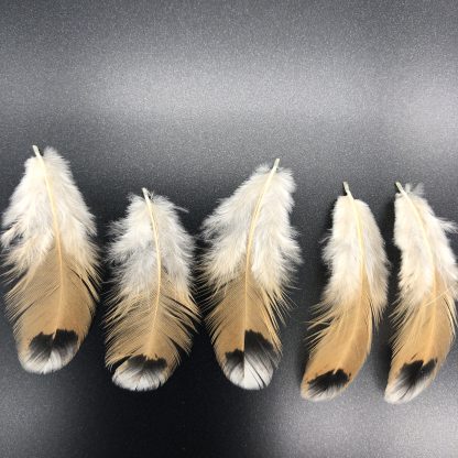 Mille Fleur Duccle Feathers