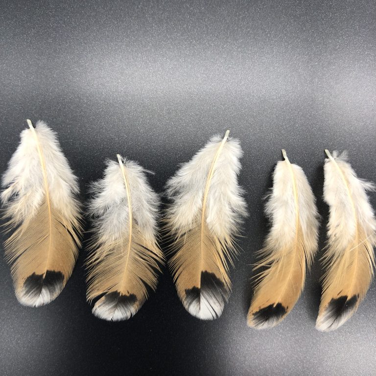 Mille Fleur Duccle Feathers