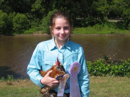 Mille Fleur D'uccle Bantam