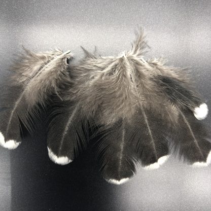 Mottled Japanese Bantam Feathers