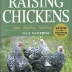 Storey's Guide to Raising Chickens by Gail Damerow