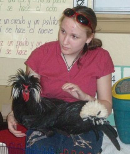 “Showing my Cackle Hatchery® White Crested Black Polish pair to a classroom of kids, Rosa in Oregon”