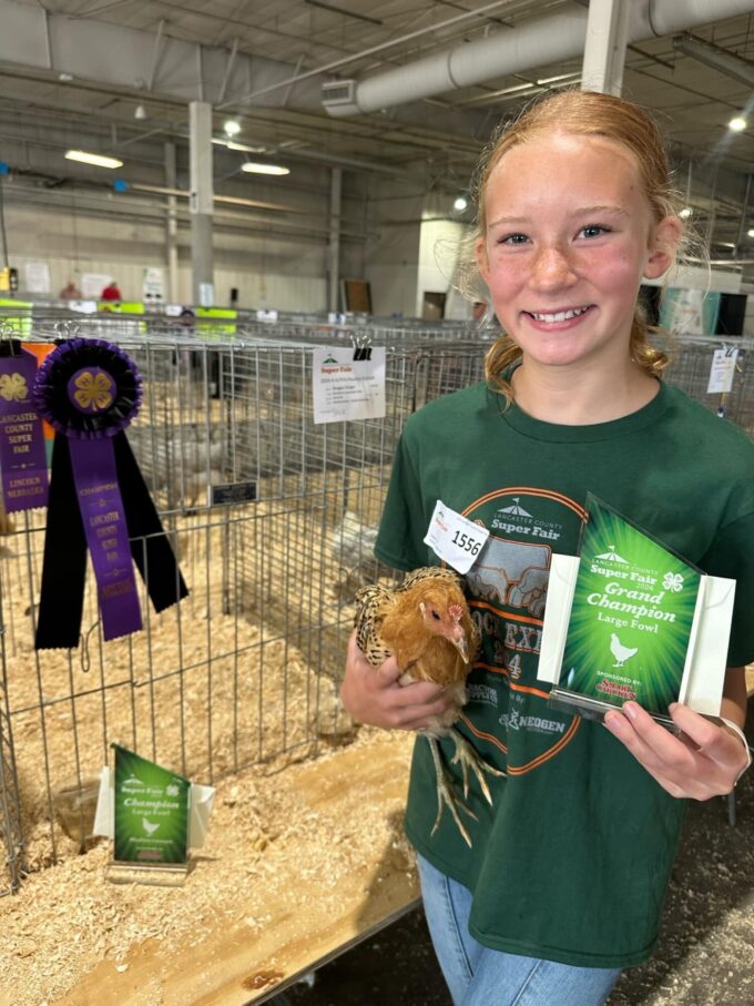 Sicilian Buttercup - Image 47