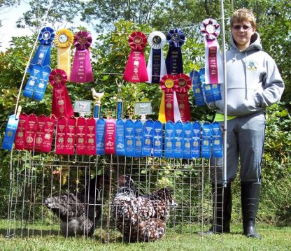 Thank you Cackle Hatchery® for the Speckle Sussex chicks, Banko Family, New Jersey “ 2013”