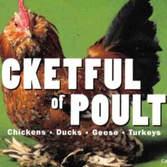 Pocketful of Poultry by Carol Ekarius