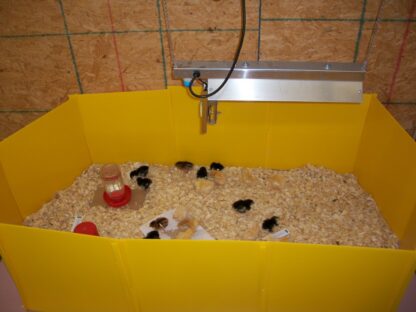 Brooder Radiant Hanging Heater