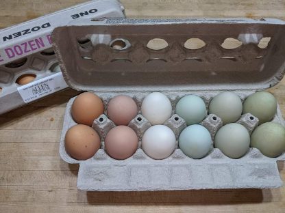 rainbow special Eggs