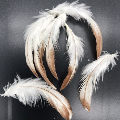 Red Shoulder Yokohama Chicken Feathers