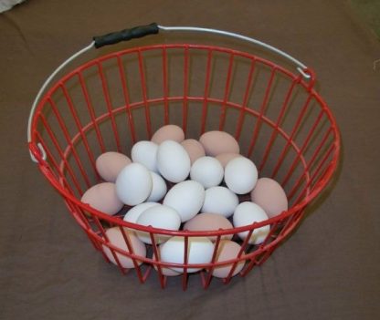 Red Egg Basket With 12 Ceramic Eggs Included-4685