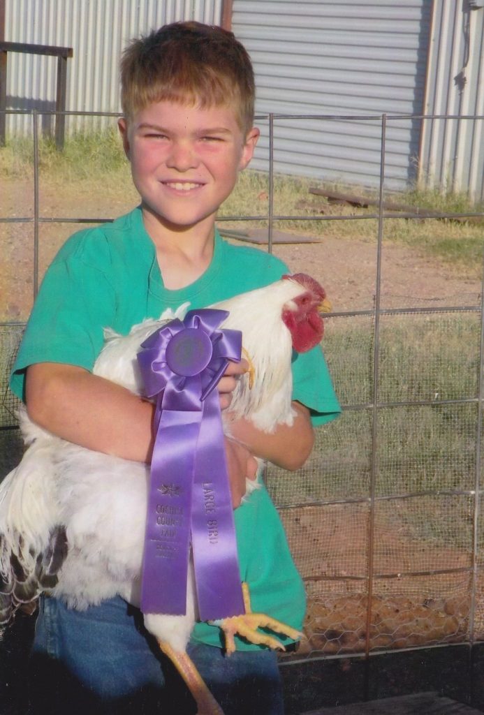 Thank you Cackle Hatchery®® , I won the "Best Large Breed Chicken" Ribbon at the Cochise County Fair, Arizona in 2012