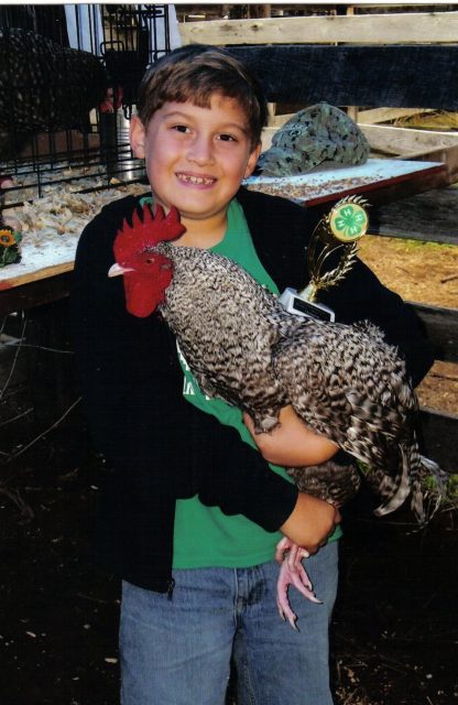 "Thank you Cackle Hatchery®® "! Charlie with his Cuckoo Marans Chicken Rooster and Best Overall Ribbon Award, Madison County Fair, Greenville, MO