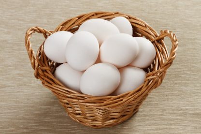 White Leghorn Eggs