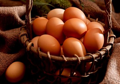 Speckled Sussex Chicken Eggs