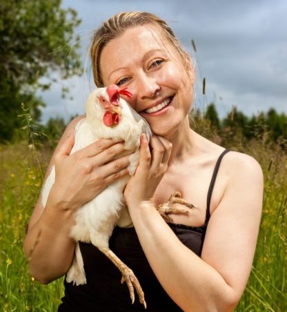 White Leghorn Chicken