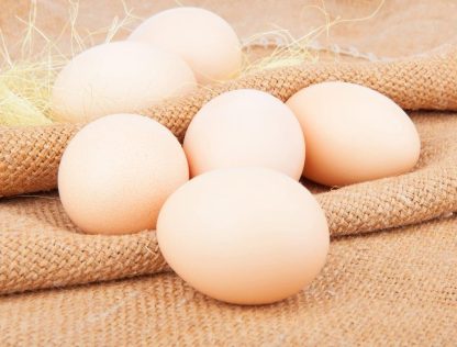 White Polish Chicken Eggs