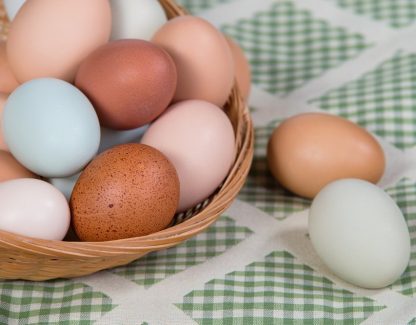 Rainbow Assortment Eggs