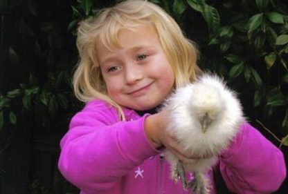 White Silkie Bantam