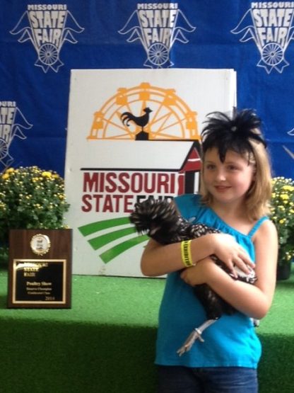 Josey, with her Cackle Silver Laced Polish, won reserve champion large fowl at the county fair and best of variety, best of breed, and reserve champion continental class at the state fair. I really appreciated the 4H discount from Cackle.