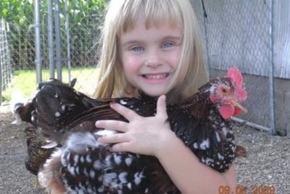 Hannah, age 6, holding her Speckled Sussex Chicken hen we bought from Cackle Hatchery®® in 2009. Thank you. Mulliken, Michigan