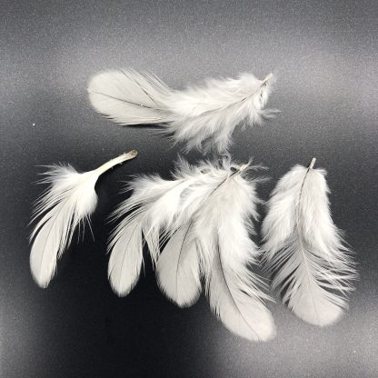 Splash Old Game Bantam Feathers