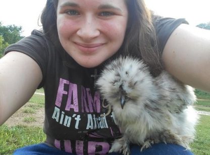 Splash Silkie Bantam Chicken