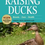 Storey's Guide to Raising Ducks by Dave Holderread