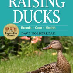 Storey's Guide to Raising Ducks by Dave Holderread