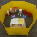 Classroom Baby Poultry Brooder Starter Kit