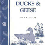 Raising Ducks & Geese by John M. Vivian
