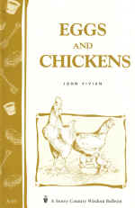 Eggs and Chickens by John Vivian