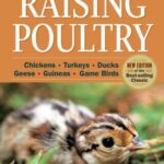 Storey's Guide to Raising Poultry by Glen Davis