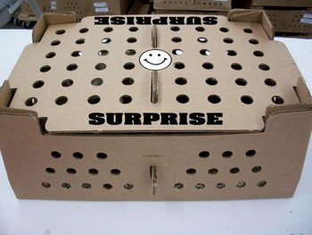 SURPRISE BOX