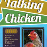 Talking Chicken by Kelly Klober