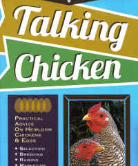 Talking Chicken by Kelly Klober