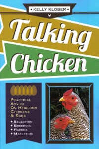 Talking Chicken by Kelly Klober