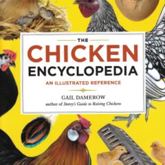 The Chicken Encyclopedia An Illustrated Reference by Gail Damerow