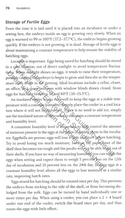 Storey's Guide to Raising Turkeys by Don Schnider-5320