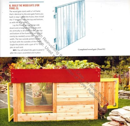 Reinventing the Chicken Coop-5335