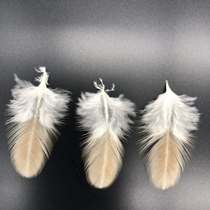 Wheaten Cubalaya Bantam Feathers