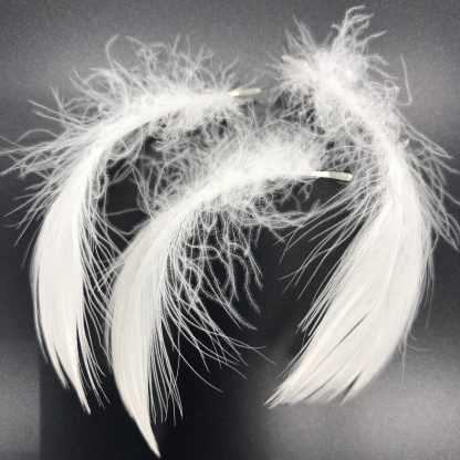 White Embden Geese Feathers