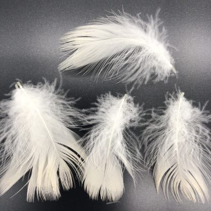 White Pekin Duck Feathers