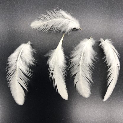 White Phoenix Bantam Feathers