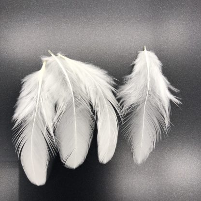 White Yokohama Feathers