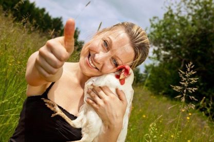 White Leghorn Chicken