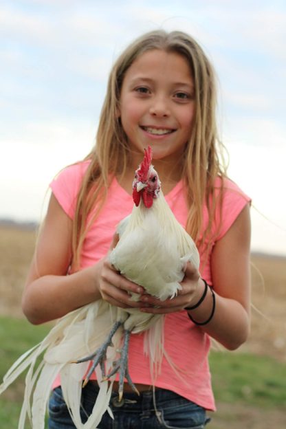 White Phoenix Bantam