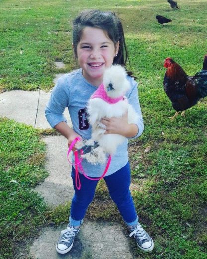 White Silkie Bantam