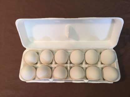 1 Dozen of White Ceramic Eggs-2921