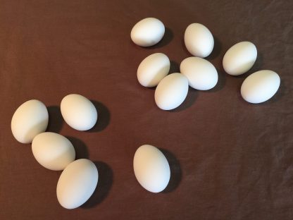 1 Dozen of White Ceramic Eggs-2920