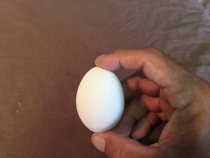 1 Dozen of White Ceramic Eggs-2918