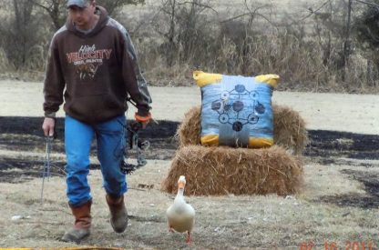 White Pekin Duck